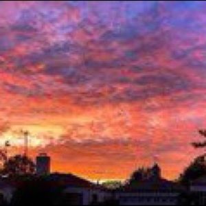 Meet your Posher, Summer